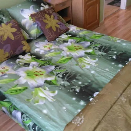Appartamento Apartament Zielony